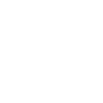 SGFE logo icon - circular mandala shape in white.